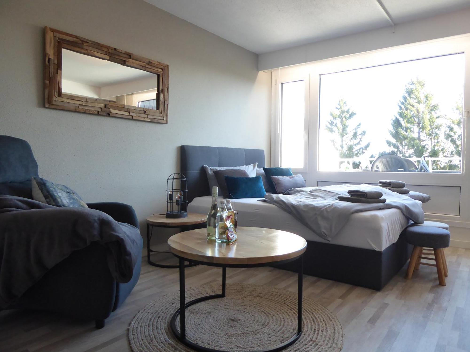 Mountain Suite Winterberg Pool Sauna Hund 4 Pers Wifi Near Bikepark Extérieur photo